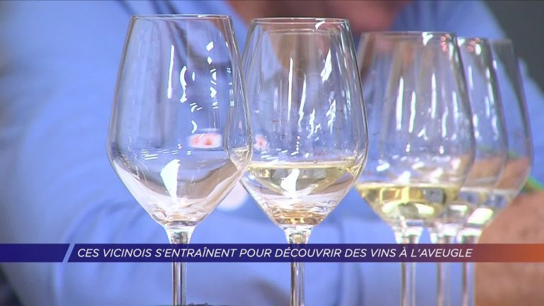 Yvelines | Ces vicinois s’entrainent pour découvrir des vins à l’aveugle