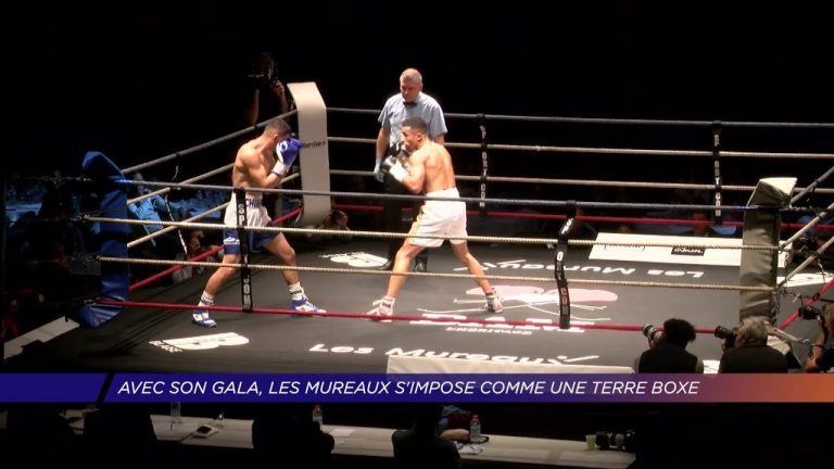 Yvelines | Avec son gala, Les Mureaux s’impose comme une terre de boxe