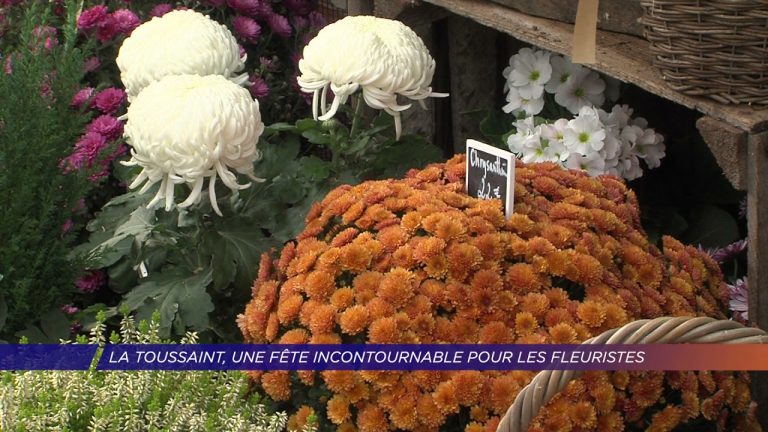 Yvelines | La Toussaint, une fête incontournable pour les fleuristes