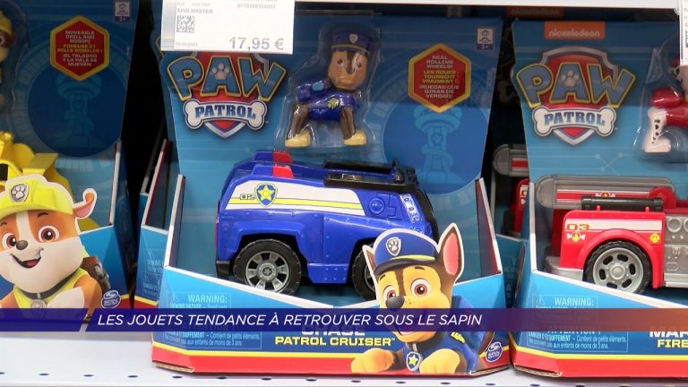 Yvelines | Les jouets tendance à retrouver sous le sapin