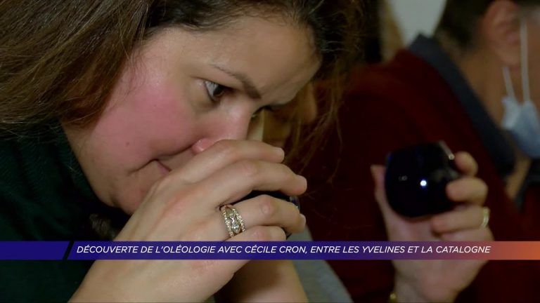 Yvelines | Découverte de l’oléologie avec Cécile Cron, entre les Yvelines et la Catalogne