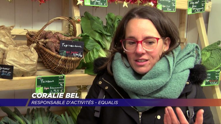 Yvelines | « Les Pot’iront », en route pour l’insertion professionnelle