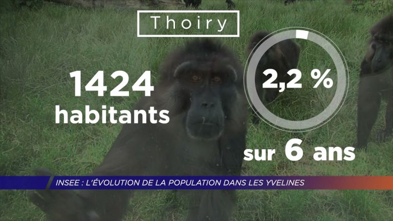 Yvelines | INSEE : L’évolution de la population dans les Yvelines