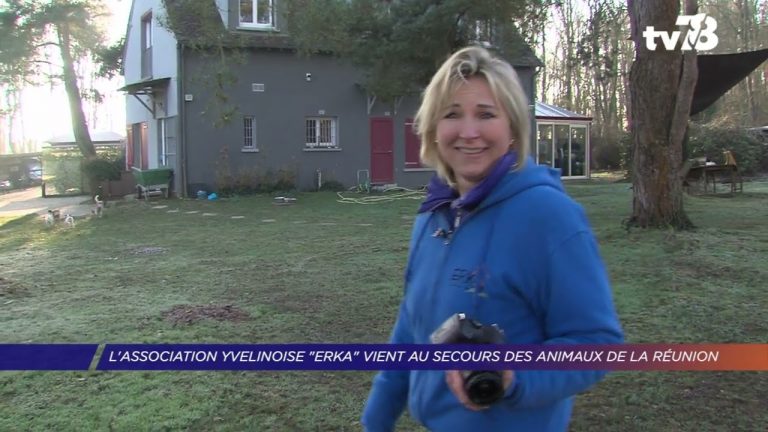 Yvelines | L’association yvelinoise « Erka » vient au secours des animaux de La Réunion