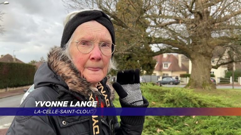 Yvelines | L’arbre de l’année 2021 est yvelinois