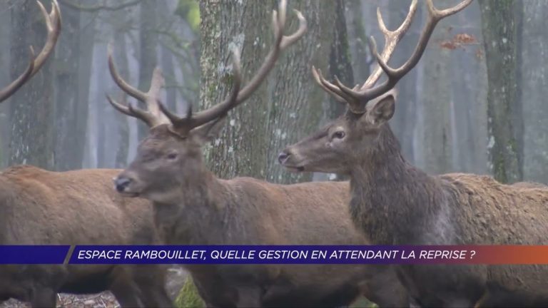 Yvelines | Espace Rambouillet, quelle gestion en attendant la reprise ?