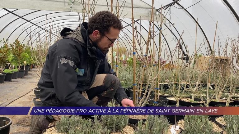 Yvelines | Une pédagogie pro-active à la pépinière de Saint-Germain-en-Laye