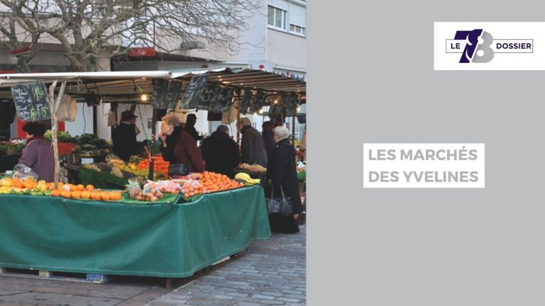 Les rendez-vous de tv78