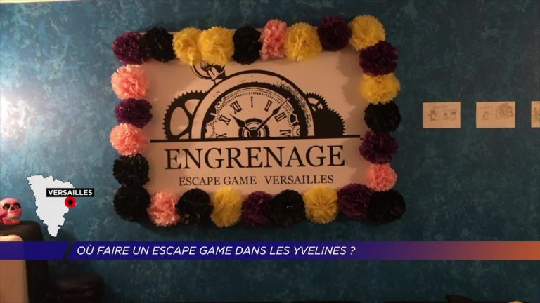 Yvelines | Faire un escape game dans les Yvelines