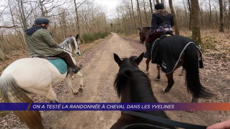 Yvelines | On a testé la randonnée à cheval dans les Yvelines