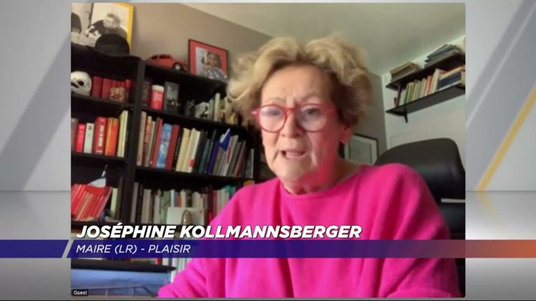 Yvelines | La maire de Plaisir prise à partie par des manifestants lors d’un conseil municipal