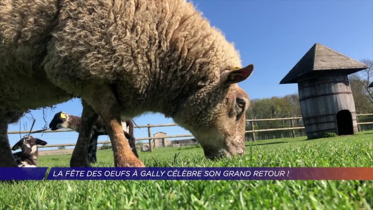 Yvelines | La fête des oeufs à Gally célèbre son grand retour !