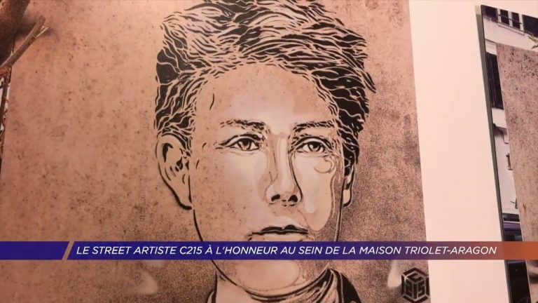 Yvelines | Le street artiste C215 à l’honneur au sein de la Maison Triolet-Aragon