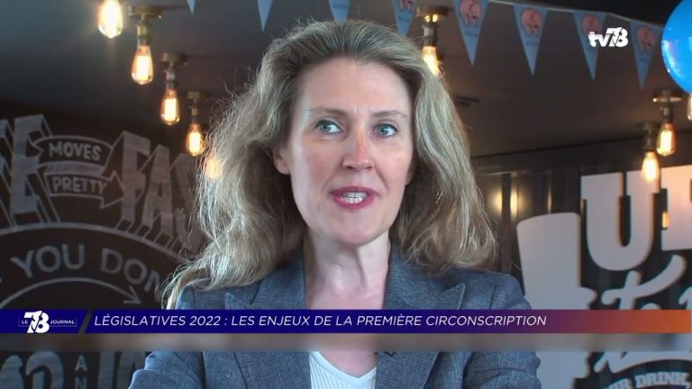 Yvelines | Législatives : les enjeux dans la 1ère circonscription des Yvelines