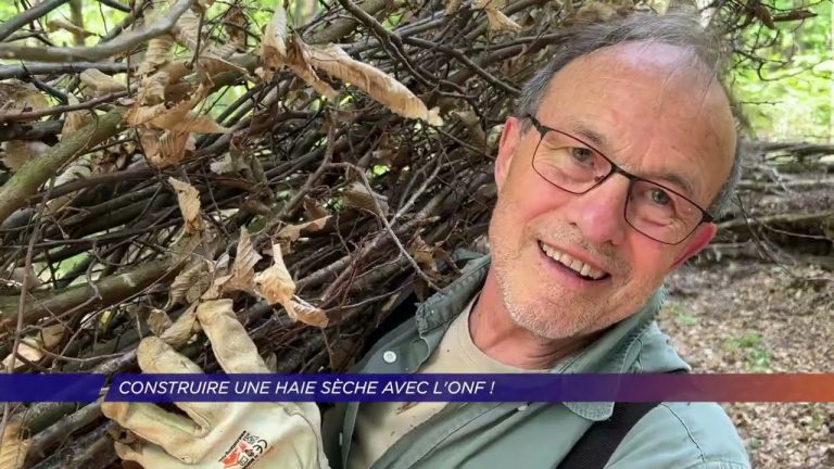 Yvelines | Construire une Haie sèche avec l’ONF !