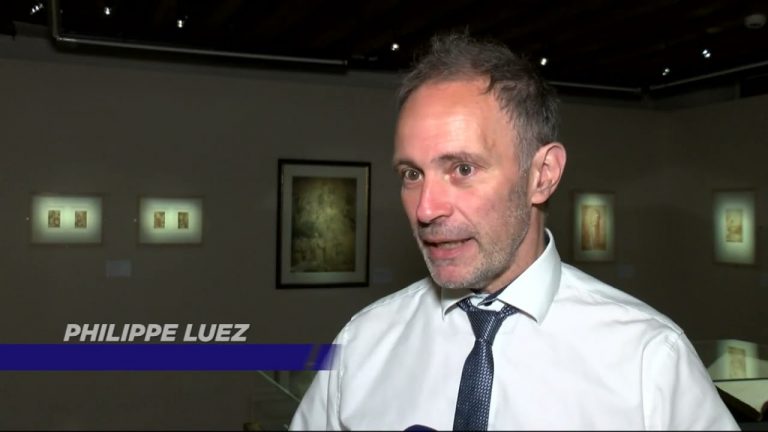 Yvelines | La forêt au centre de la nouvelle exposition du musée de Port-Royal des Champs