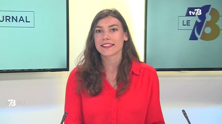 Yvelines | Législatives 2022 : pourquoi autant de « petits partis » en lice ?