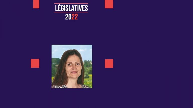 Yvelines | Législatives : les propositions des candidats de la 2ème circonscription des Yvelines