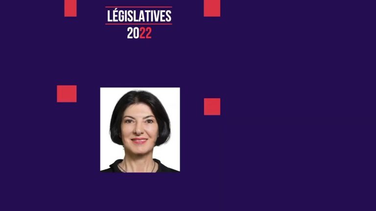 Yvelines | Législatives : les propositions des candidats de la 5ème circonscription des Yvelines