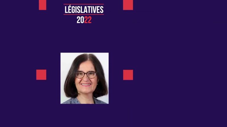 Yvelines | Législatives : les propositions des candidats de la 7ème circonscription des Yvelines