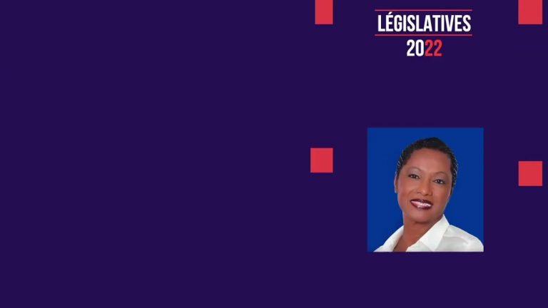 Yvelines | Législatives : les propositions des candidats de la 9ème circonscription des Yvelines