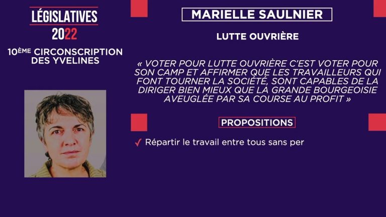 Yvelines | Législatives : les propositions des candidats de la 10ème circonscription des Yvelines