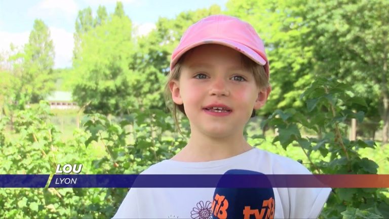 Yvelines | Une année exceptionnelle pour les fruits rouges dans les Yvelines