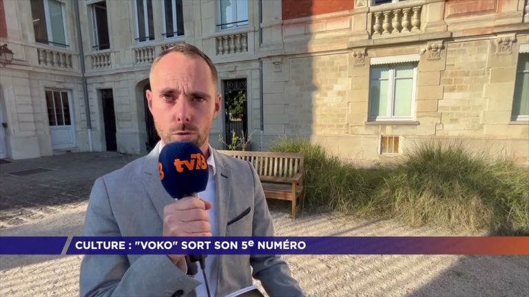 Yvelines | Culture : « Voko » sort son 5e numéro