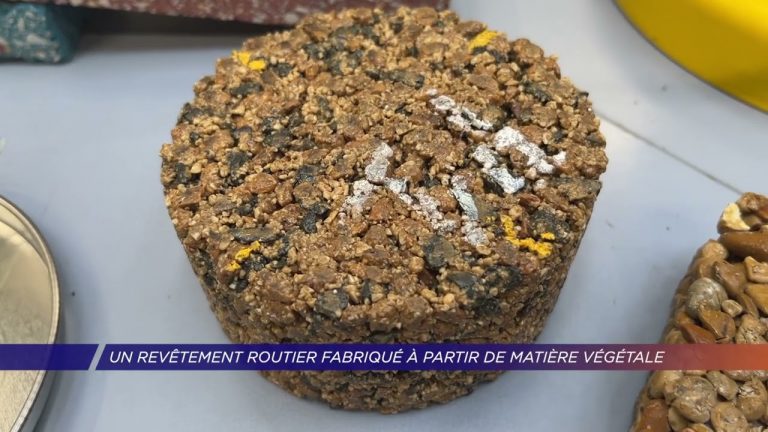 Yvelines | Un revêtement routier fabriqué à partir de matière végétale