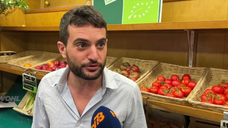 Yvelines | Les fruits et légumes stars de l’été