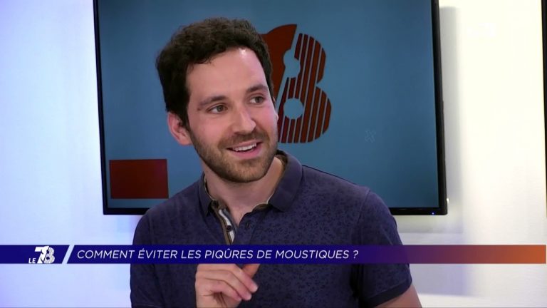 Yvelines | Été : comment éviter les piqûres de moustiques ?