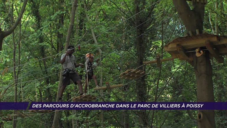Yvelines | Des parcours d’accrobranche dans le parc de Villiers à Poissy