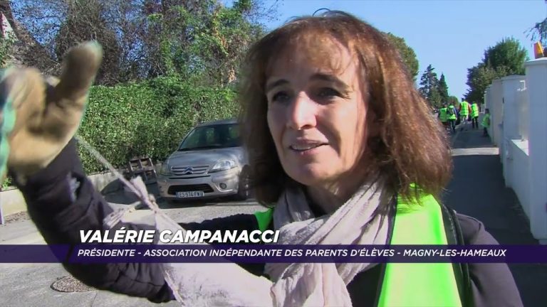 Yvelines | Saint-Quentin-en-Yvelines se mobilise pour nettoyer les villes