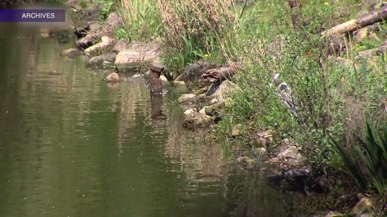 Yvelines | 360 participants pour le Rando Challenge 2022