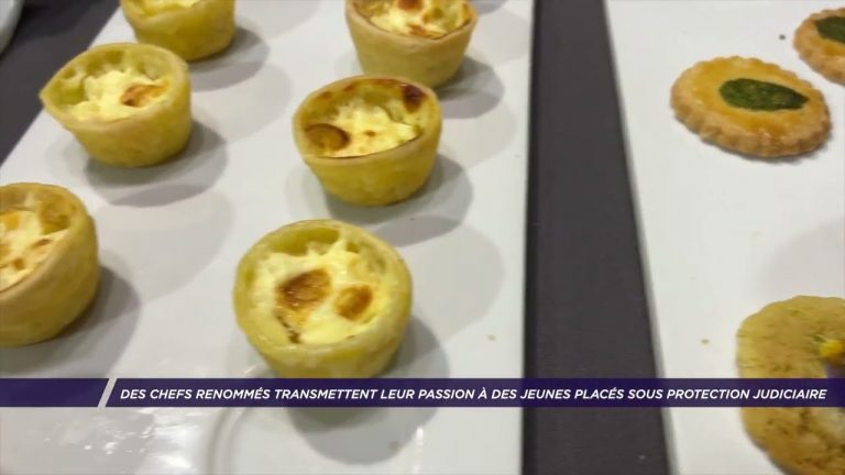 Yvelines | Des chefs transmettent leur passion à des jeunes placés sous protection judiciaire