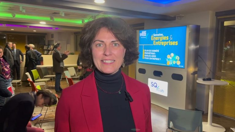 Yvelines | Comment les entreprises peuvent-elles faire face à la crise énergétique ?