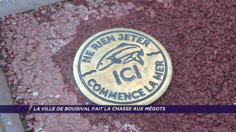 Yvelines | La ville de Bougival fait la chasse aux mégots