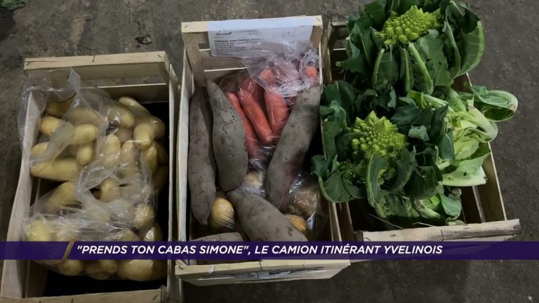 Yvelines | « Prends ton cabas Simone », le camion itinérant Yvelinois