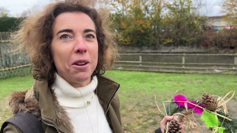 Yvelines | La ferme de Gally revêt ses couleurs de Noël