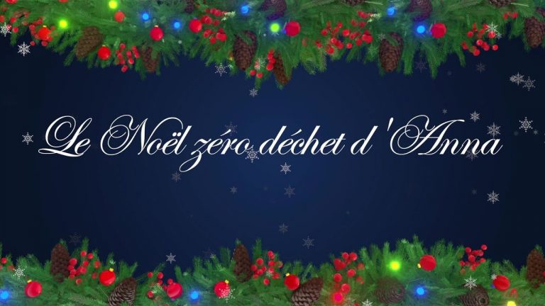 Yvelines | Tuto créatif pour Noël : La guirlande zéro déchet en agrume avec Anna