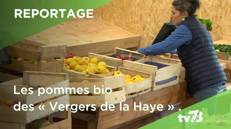 Des pommes biologiques et locales aux « Vergers de la Haye » à Villepreux