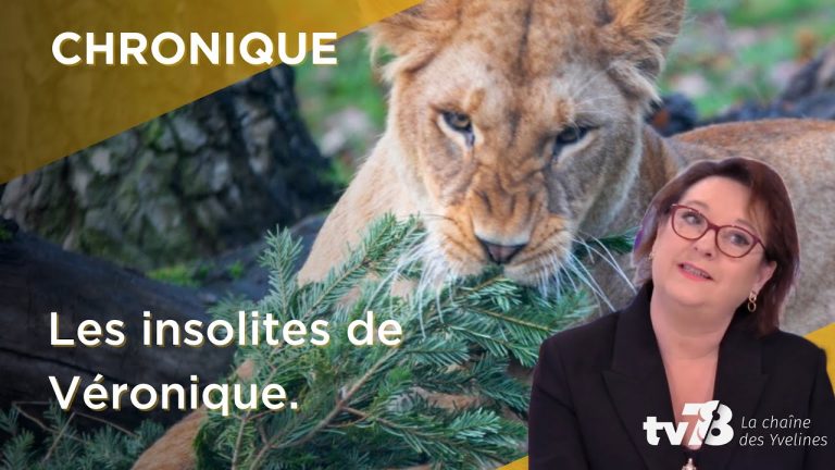 Les Insolites de Véronique du mardi 10 janvier