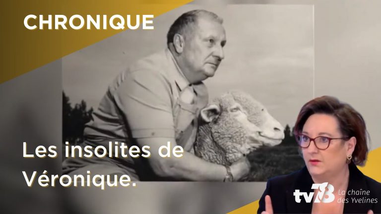 Les Insolites de Véronique du mardi 17 janvier