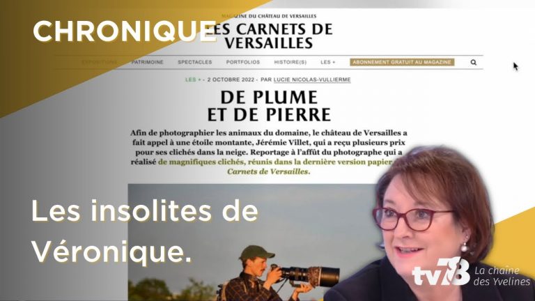 Les Insolites de Véronique du mardi 24 janvier