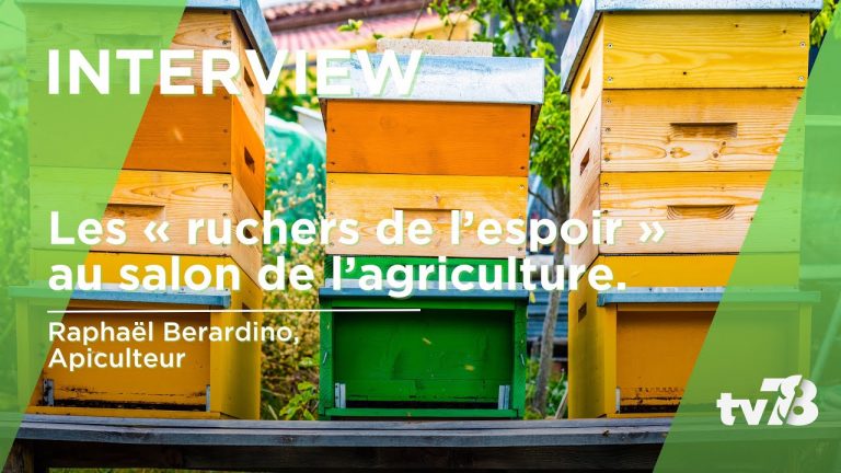 Raphaël Berardino, apiculteur yvelinois sera présent au Salon de l’agriculture 2023
