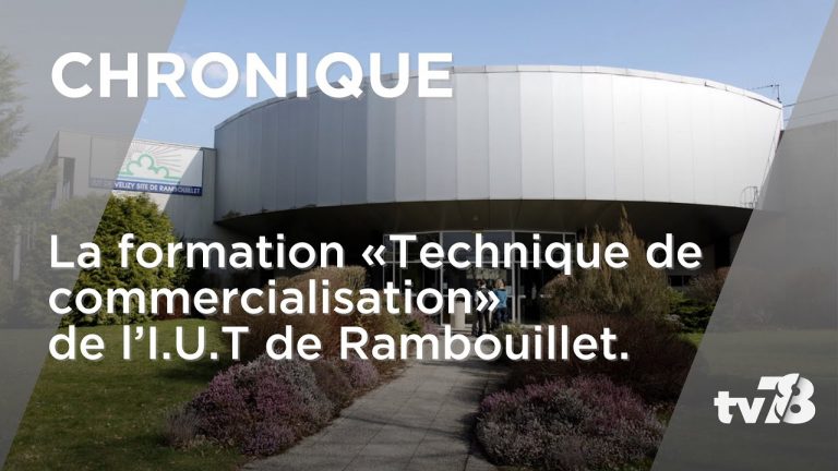 A la découverte du B.U.T. TC, la nouvelle formation à l’I.U.T. de Rambouillet