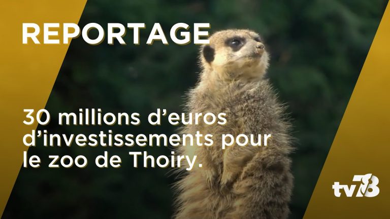 Le Zoo de Thoiry va investir 30 millions d’Euros pour booster sa fréquentation