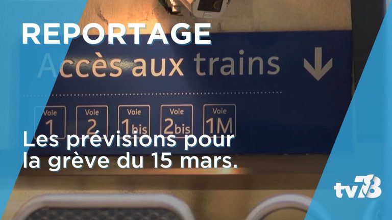 Grève du 15 mars : Les prévisions dans les Yvelines