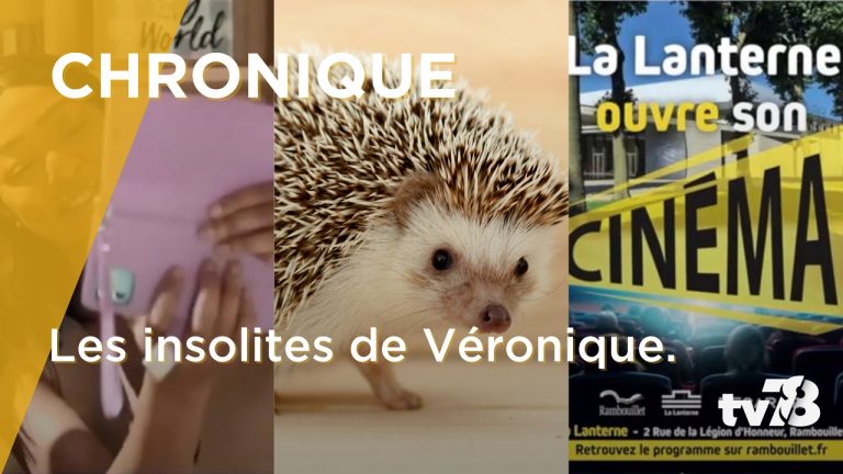Les Insolites de Véronique du mardi 28 mars