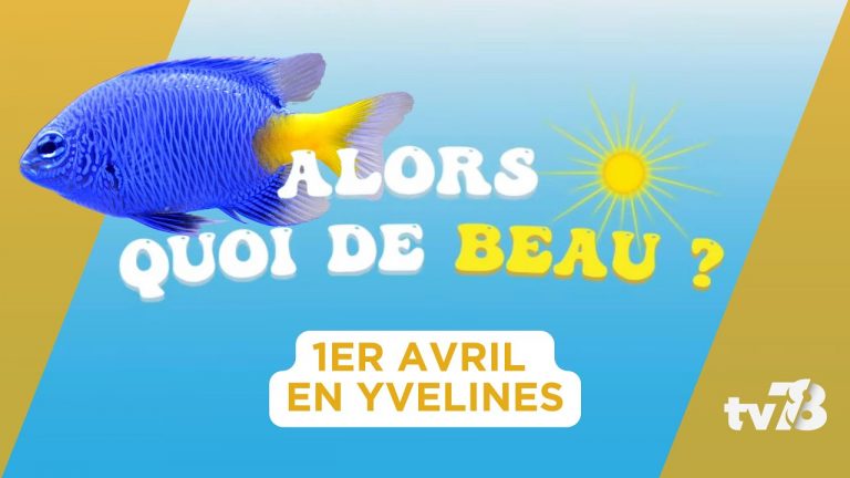 Alors quoi de beau ? Le 1er Avril